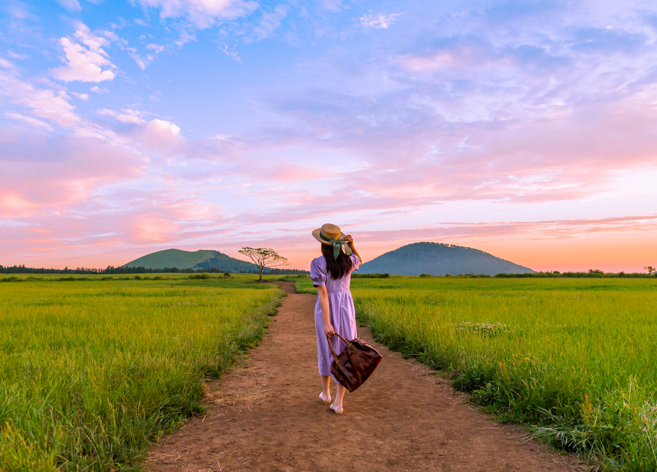 새로운 여행의 첫 페이지를 열다롯데리조트 트래브러리 구축