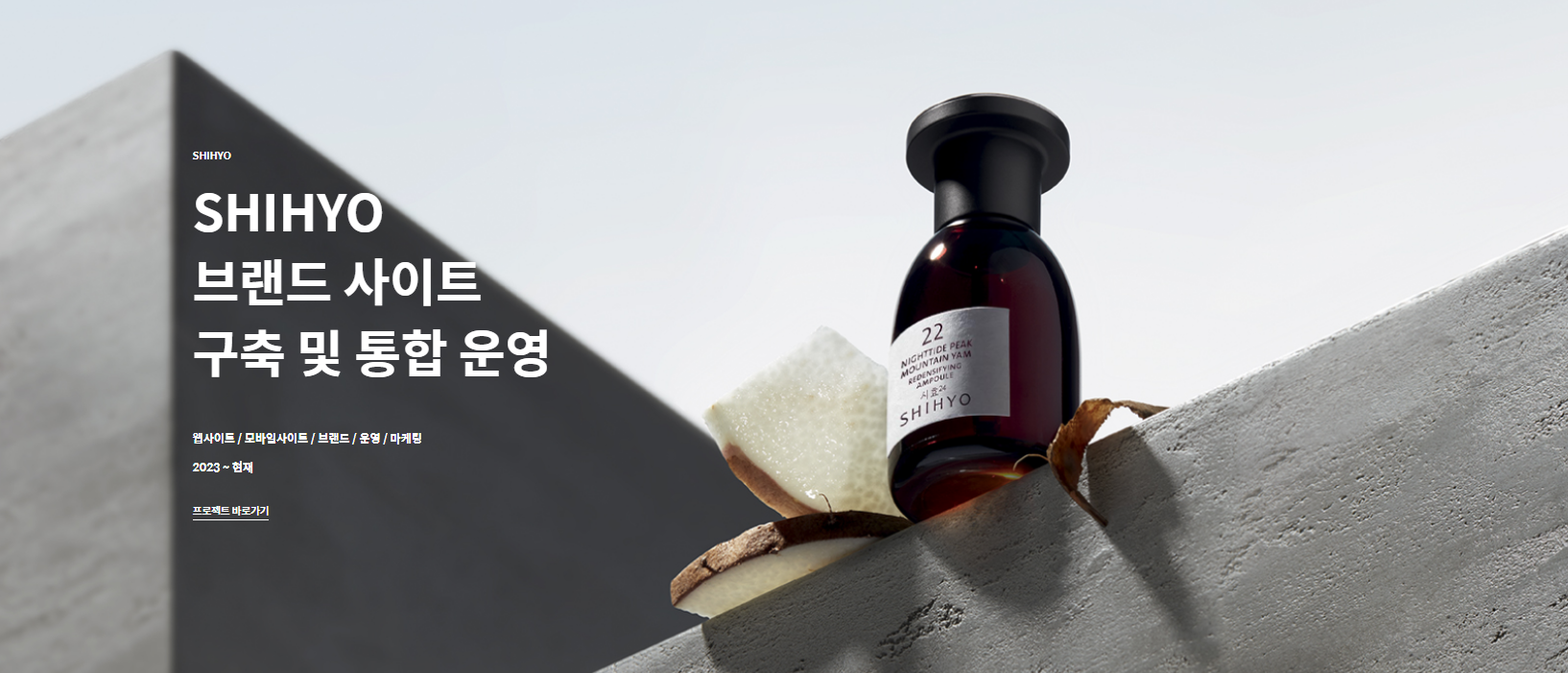 [프로젝트 구축 사례] 엘루오SHIHYO 브랜드 사이트 구축 및 통합 운영 - 디지털 인사이트
